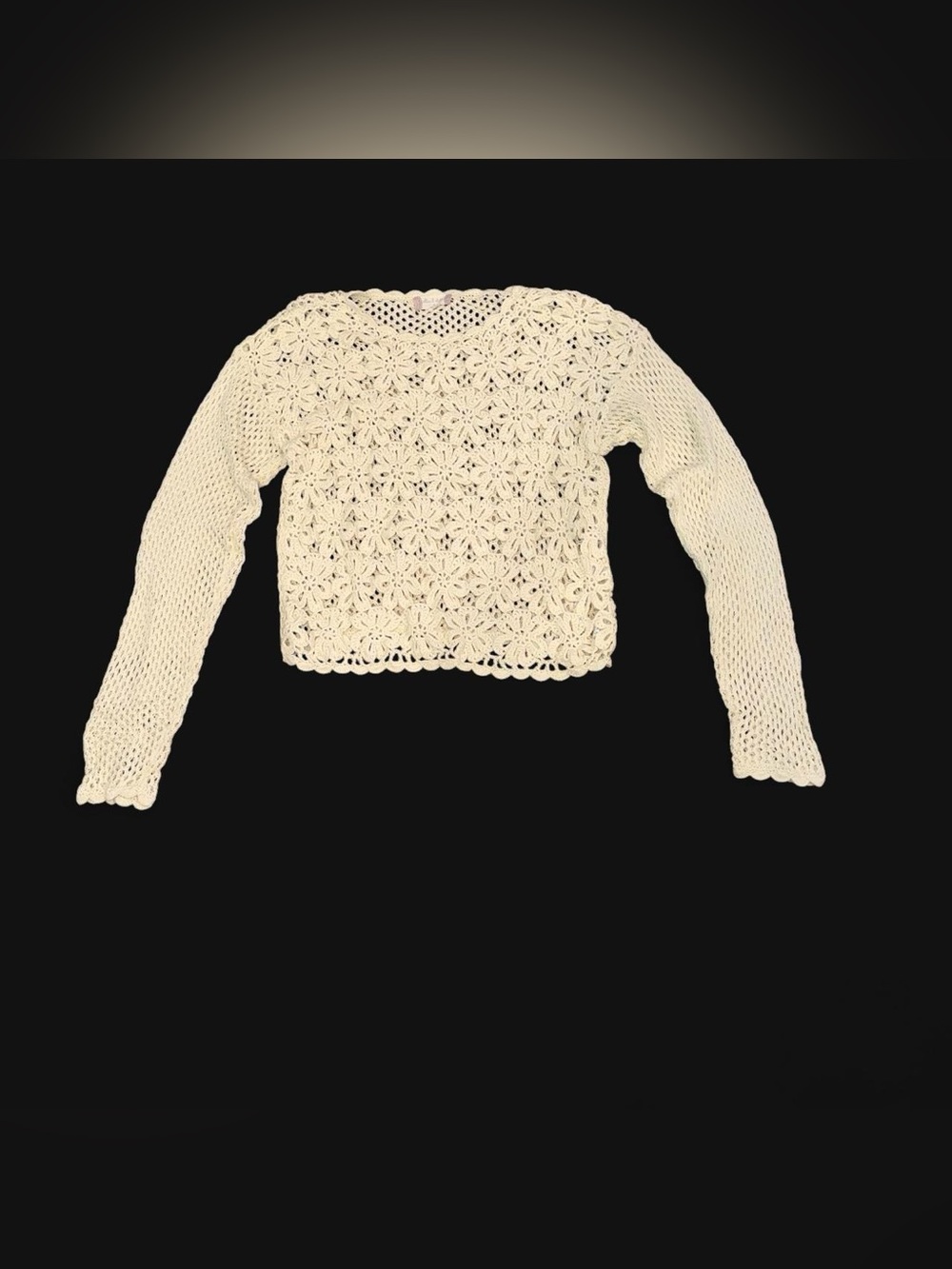 Altar’d State Crochet Floral Lace Long Sleeve Crop Top - Cream